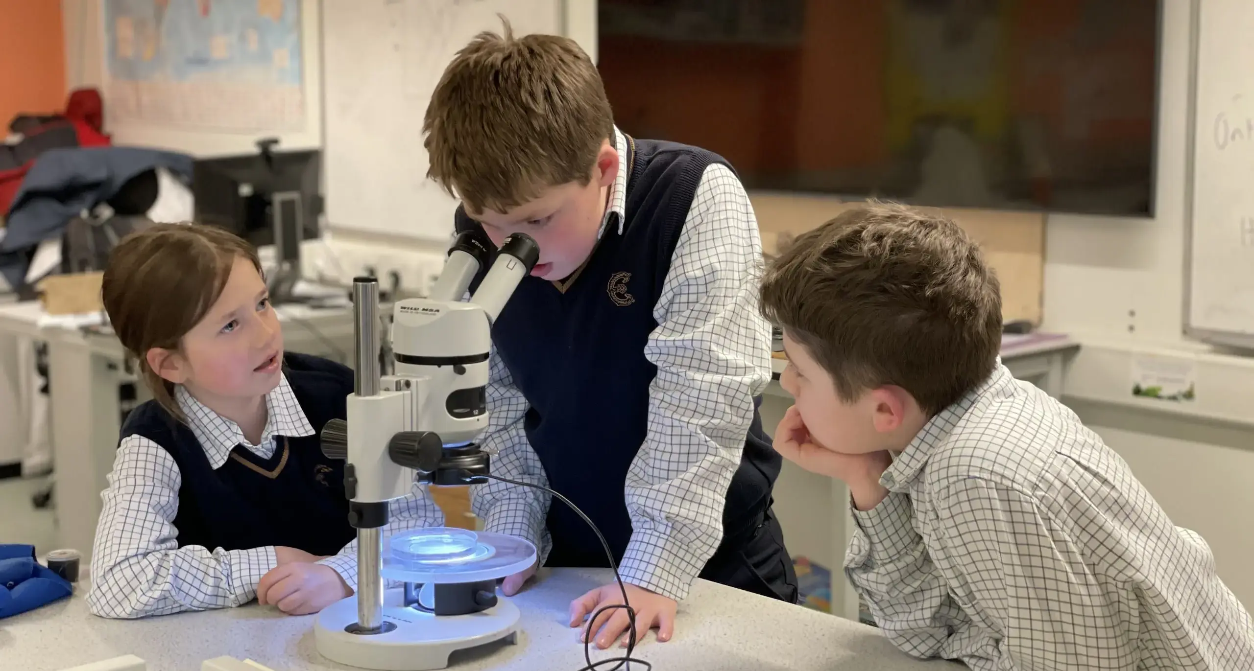 Students observing something through a microscope